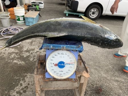 フィッシングハウス伊藤 釣果