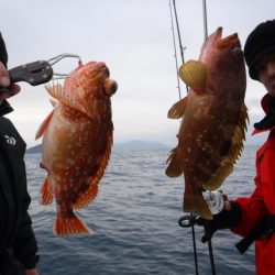 ＢｌｕｅＮｏｔｅ　Ｆｉｓｈｉｎｇ　Ｔａｘｉ 釣果