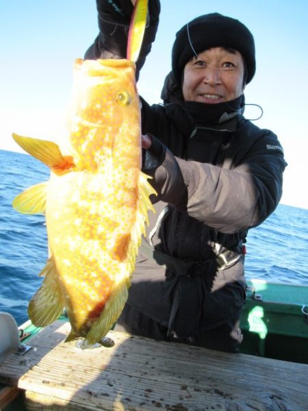 真祐丸 (しんゆうまる) 釣果