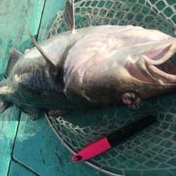 広進丸 釣果