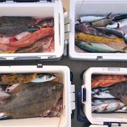 気仙沼　つり丸 釣果