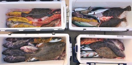 気仙沼　つり丸 釣果