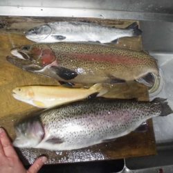 高萩ふれあいの里フィッシングエリア 釣果