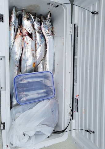 遊漁船 ニライカナイ 釣果