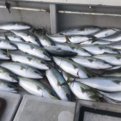 寿裕 (YOSHIHIRO) 釣果