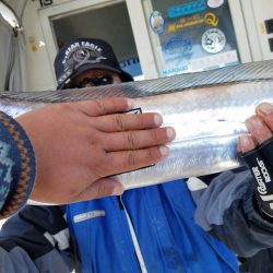 遊漁船 ニライカナイ 釣果