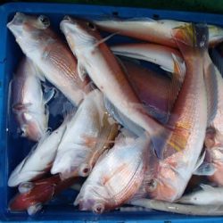 第二むつ漁丸 釣果