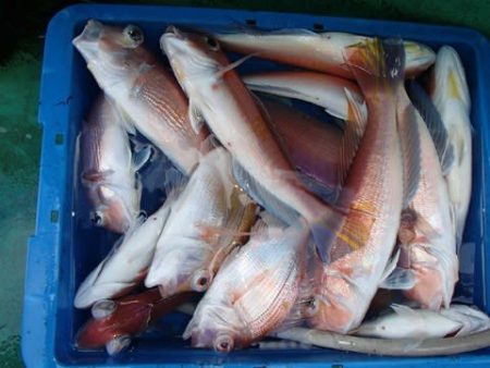 第二むつ漁丸 釣果