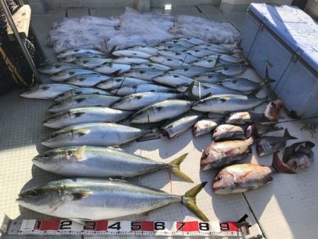 ふじしめ丸 釣果