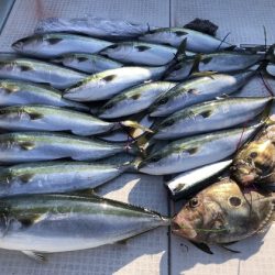 ふじしめ丸 釣果