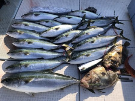 ふじしめ丸 釣果