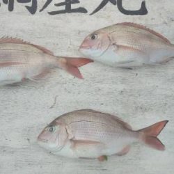 網屋丸 釣果