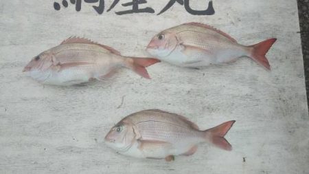 網屋丸 釣果