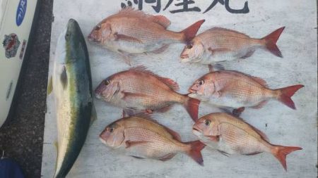 網屋丸 釣果