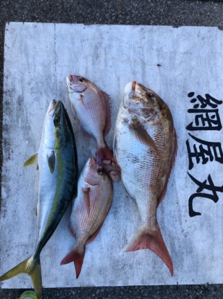 網屋丸 釣果