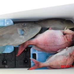 大進丸(新潟) 釣果