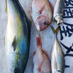 網屋丸 釣果