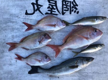 網屋丸 釣果
