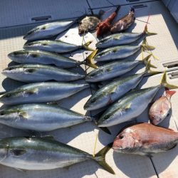 ふじしめ丸 釣果