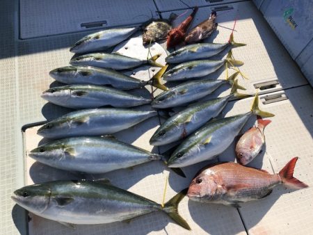 ふじしめ丸 釣果
