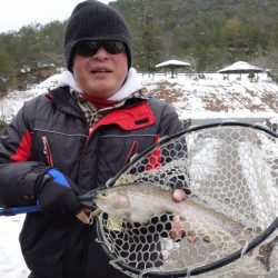 フィッシングレイクたかみや 釣果