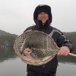 フィッシングレイクたかみや 釣果