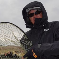 フィッシングレイクたかみや 釣果