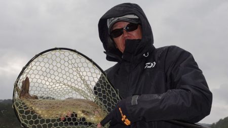 フィッシングレイクたかみや 釣果