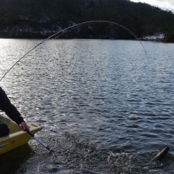 フィッシングレイクたかみや 釣果