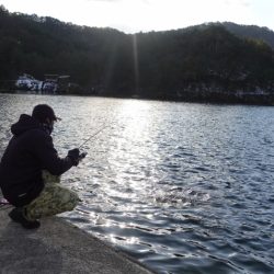 フィッシングレイクたかみや 釣果