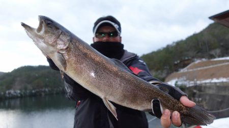 フィッシングレイクたかみや 釣果