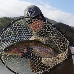フィッシングレイクたかみや 釣果