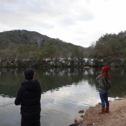 フィッシングレイクたかみや 釣果