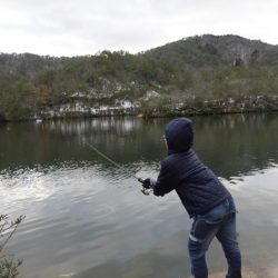 フィッシングレイクたかみや 釣果