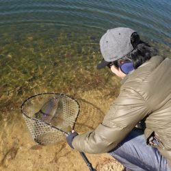フィッシングレイクたかみや 釣果