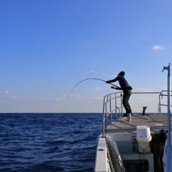 クルーズ 釣果