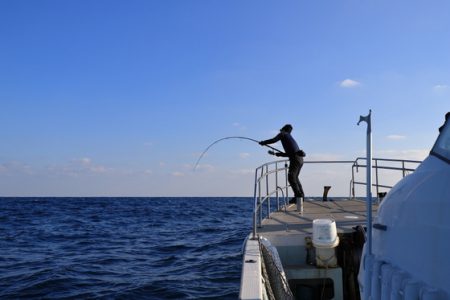 クルーズ 釣果