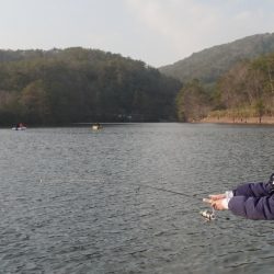 フィッシングレイクたかみや 釣果