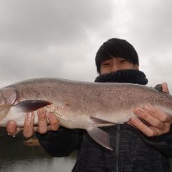 フィッシングレイクたかみや 釣果