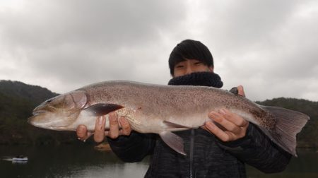 フィッシングレイクたかみや 釣果