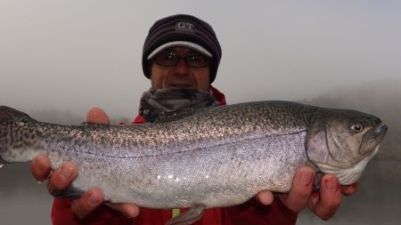 フィッシングレイクたかみや 釣果