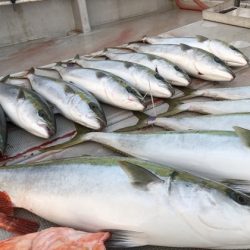 寿裕 (YOSHIHIRO) 釣果