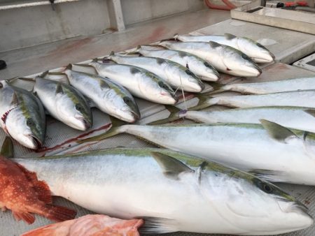 寿裕 （YOSHIHIRO） 釣果