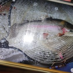 フィッシングレイクたかみや 釣果