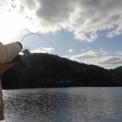 フィッシングレイクたかみや 釣果
