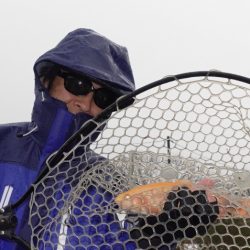 フィッシングレイクたかみや 釣果