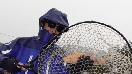 フィッシングレイクたかみや 釣果