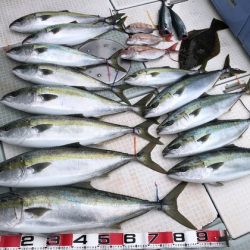 ふじしめ丸 釣果