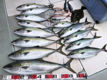 ふじしめ丸 釣果