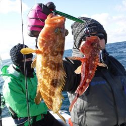 ＢｌｕｅＮｏｔｅ　Ｆｉｓｈｉｎｇ　Ｔａｘｉ 釣果